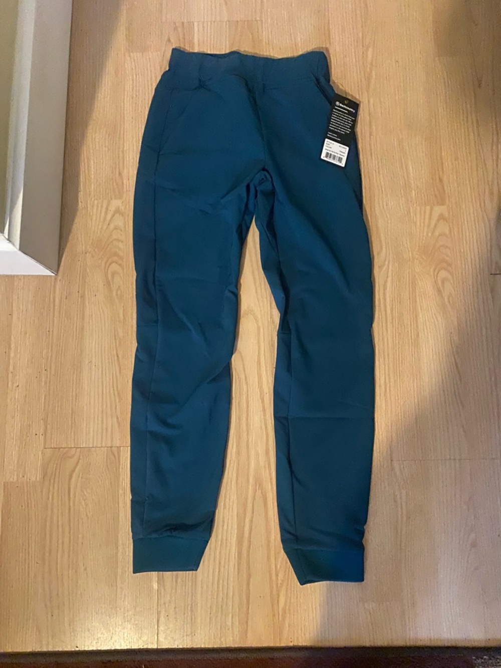 Backcountry Teal Athletic Joggers - Solid Teal Active Pants